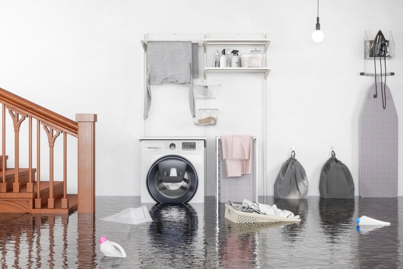 What to Do When Your Basement Floods in Larimer County